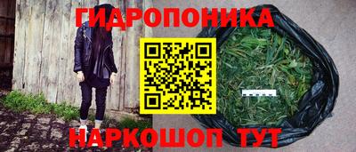 spice Кинель