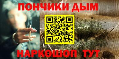 spice Кинель