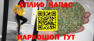 spice Кинель
