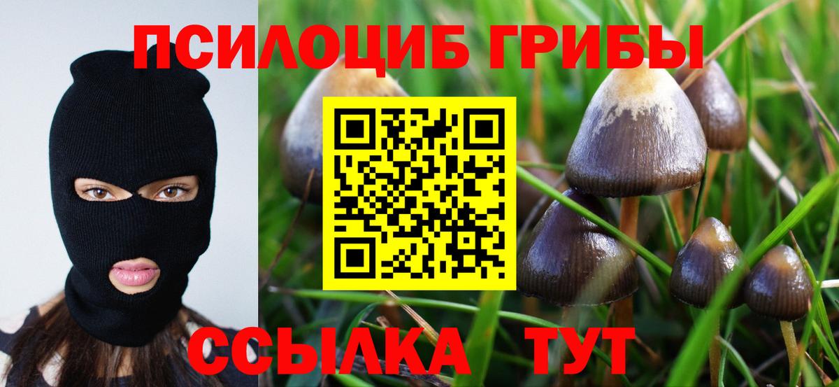 Alpha-PVP СК кристаллы  Вход с VPN  Марихуана  Меф кристаллы  Метадон  Кемерово  НБОМе  Гашиш  Экстази  Кокаин 